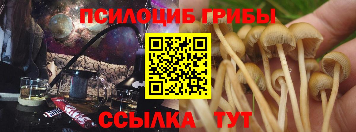 наркошоп  Вход с VPN  Сланцы  Галлюциногенные грибы Cubensis  Псилоцибиновые грибы GOLDEN TEACHER 