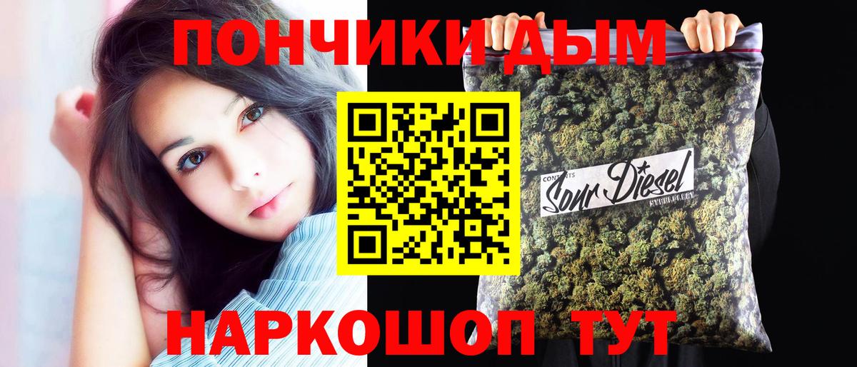 Канабис сатива Сланцы